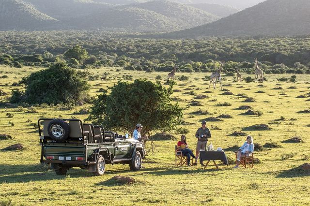 13-Daagse Prive Rondreis Zuid-Afrika - Kaapstad, Wijn & Safari